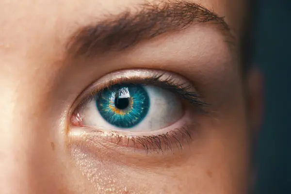 Featured image for The Rise of Personal AI Assistants: How They’ll Redefine Daily Life by 2030